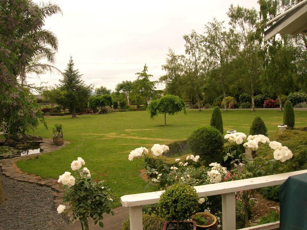 Bed and Breakfast Blairgowrie House Cambridge Exterior foto